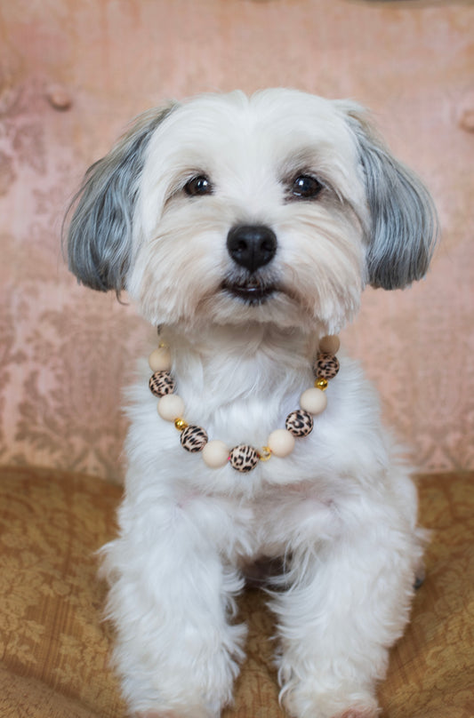 Collar bolitas silicona animal print