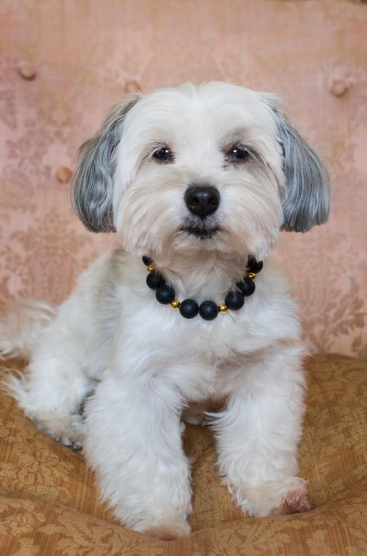 Collar bolitas silicona negro