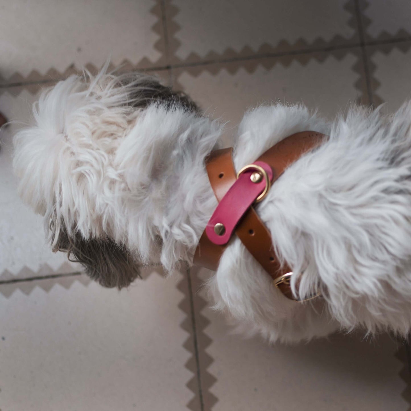 Arnés de paseo ajustable con una hebilla para que se adapte cómodamente a tu perro. Piel de curtición veganaHerrajes dorados de latónTira de piel color London con detalles en dos colores, verde o rosa